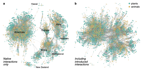 Diagram showing the interactions of species around the world