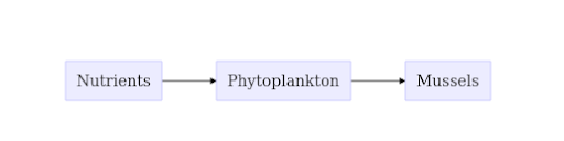 structural equation