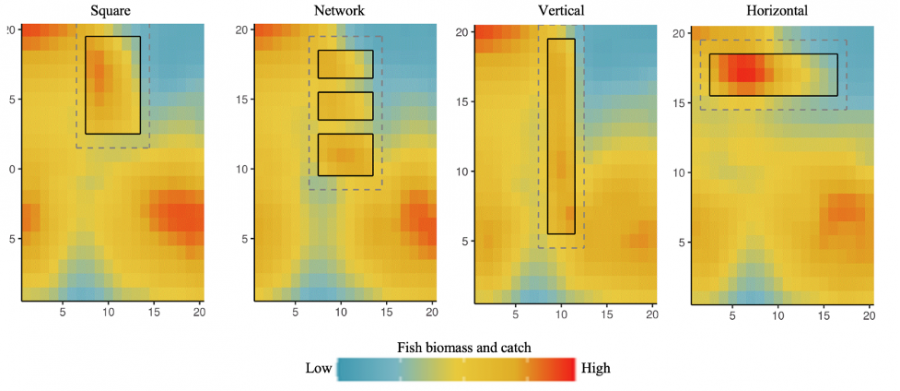 Figure showing the different types of marine-protected area (MPA) designs