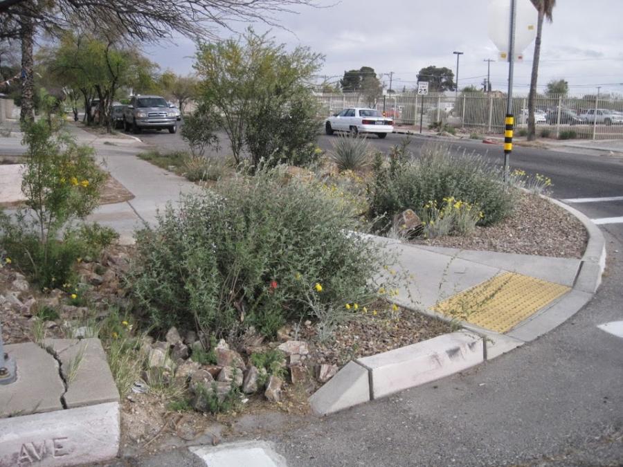 An example of green stormwater infrastructure near a curb and sidewalk