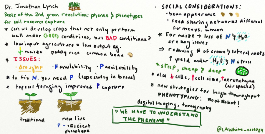 A doodle showing notes and some of the story techniques used during a science presentation