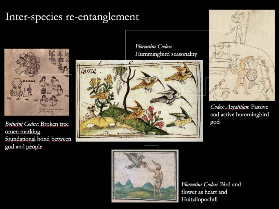 A slide showing interspecies re-entanglement