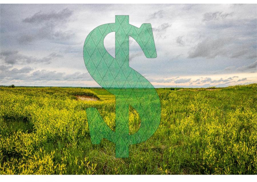 dollar sign in field