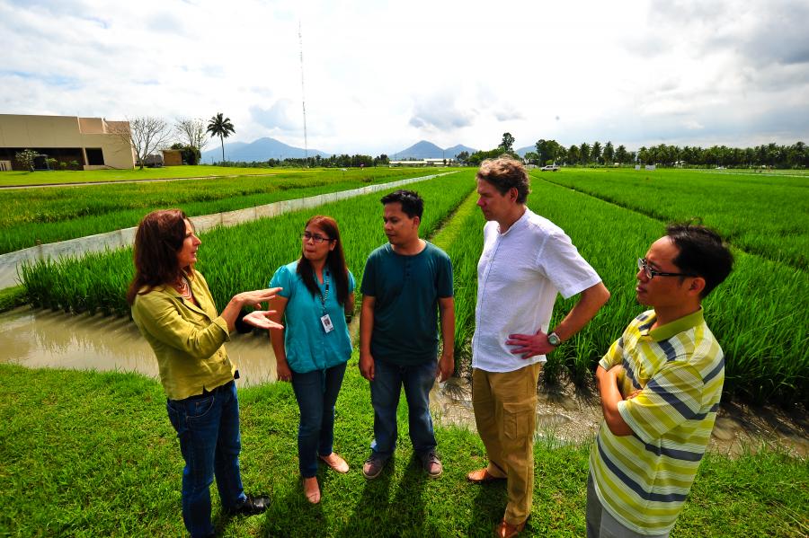 Researchers in Seagrass field