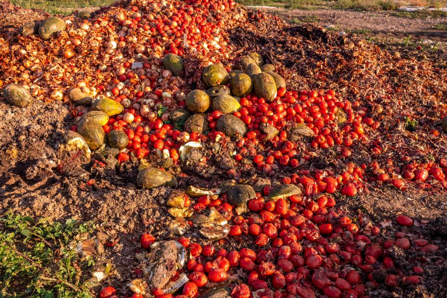 A large pile of degrading fruits and vegetables on the ground