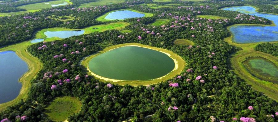 Landscape full of ponds and flowers