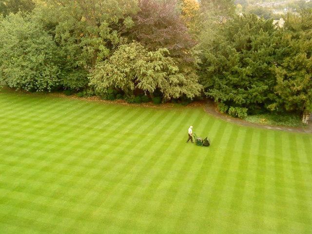 Man cuts perfect diamonds into lawn
