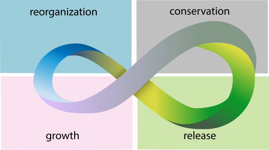 A graphic showing the stages of panarchy—reorganization, conservation, release, and growth—ystem or cycle of reorganization following some perturbation for a system with low resistance