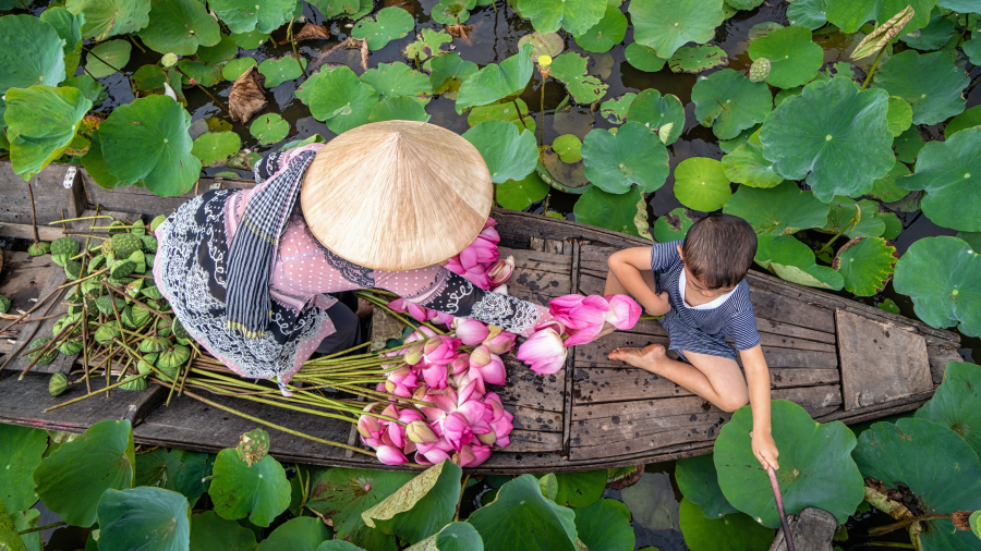 A woman and young boy on a small wooden boat harvesting wetland plants