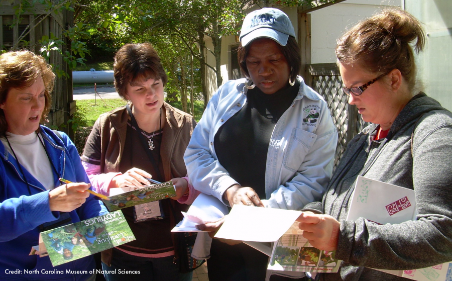 Four women stand outside doing citizen science