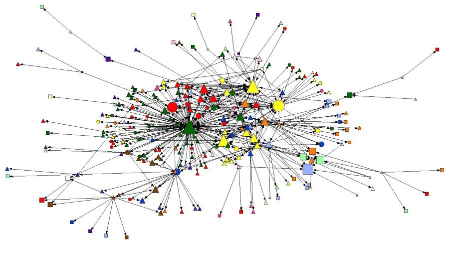 network of many differently colored entities 