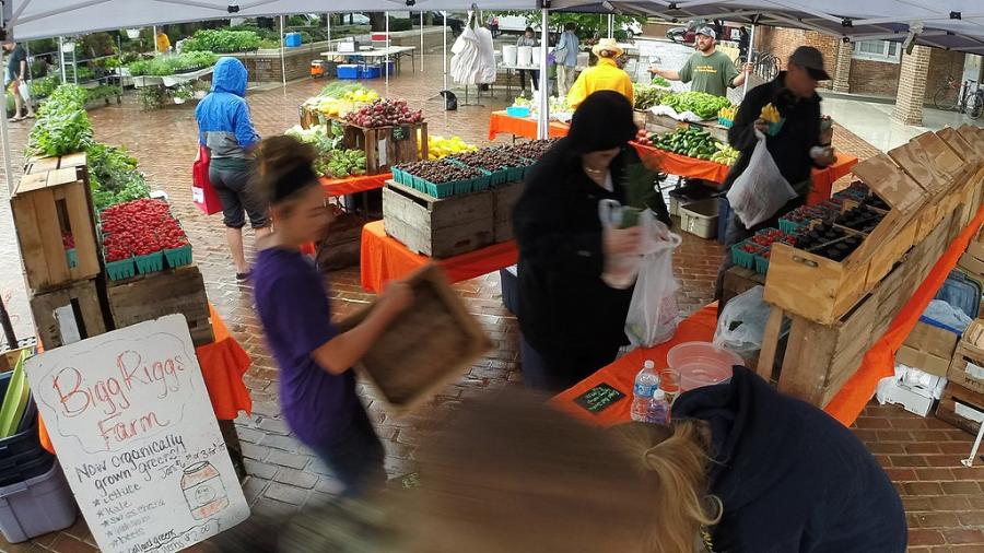 People shopping for fresh produce at a farmer's market
