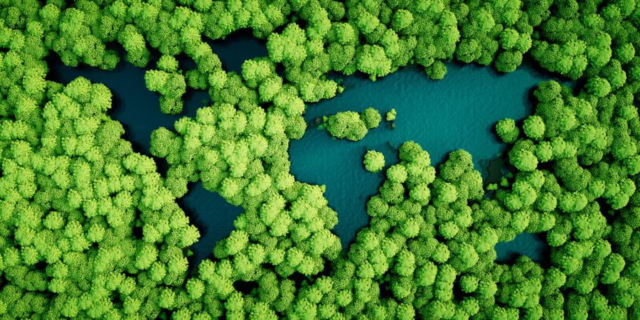 An aerial image showing trees and bodies of water in the shape of continents, forming a map of the world
