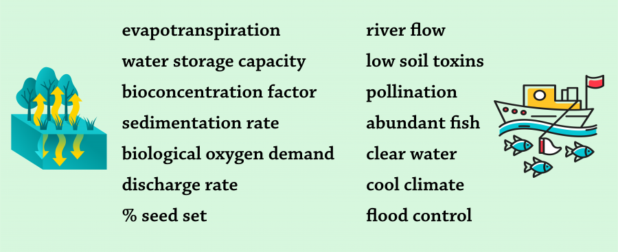 Two columns of words—one of ecological terms and one of ecosystem services, meant to be matched with one another