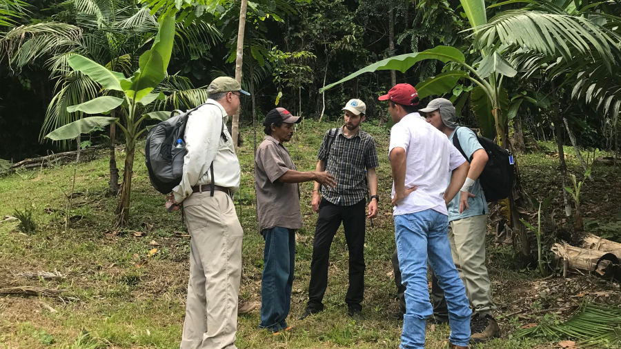 A group of scientists talking to stakeholders outside with palm trees in the background