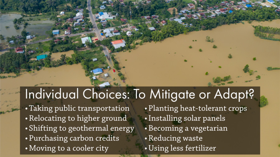 Text overlaid on an image of flooded land that says: Individual Choices: To Mitigate or Adapt? with these choices listed: Taking public transportation; Relocating to higher ground; Shifting to geothermal energy; Purchasing carbon credits; Moving to a cooler city; Planting heat-tolerant crops; Installing solar panels; Becoming a vegetarian; Reducing waste; and Using less fertilizer