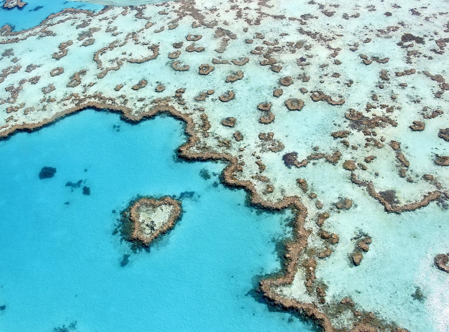 A view of the Heart Reef, part of the Great Barrier Reef, Australia