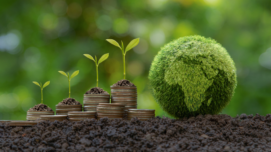 A photo showing stacks of coins with seedling growing up from the soil with a miniature earth made of grass next to it
