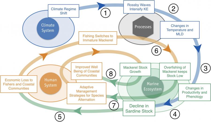 A diagram depicting the cascading effects of climate change on a socio-environmental system involving fisheries and people in the North Pacific. “KE” refers to the region of the Kuroshio Current, near Japan. “MLD” refers to the mid-level depth in the Pacific. From: Bograd et al. 2019