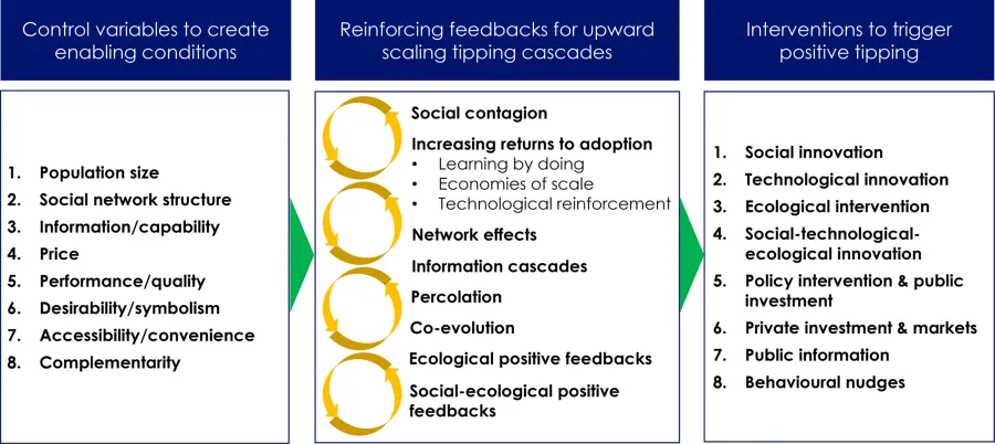 A table summary of a framework for triggering positive tipping points.