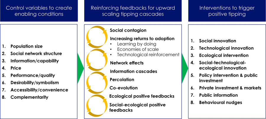 A table summary of a framework for triggering positive tipping points.