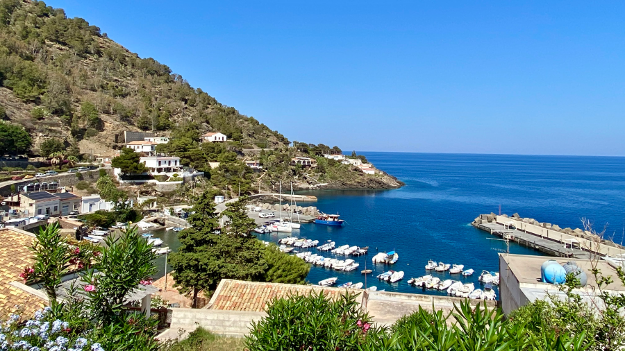 The marine protected area of Ustica Island