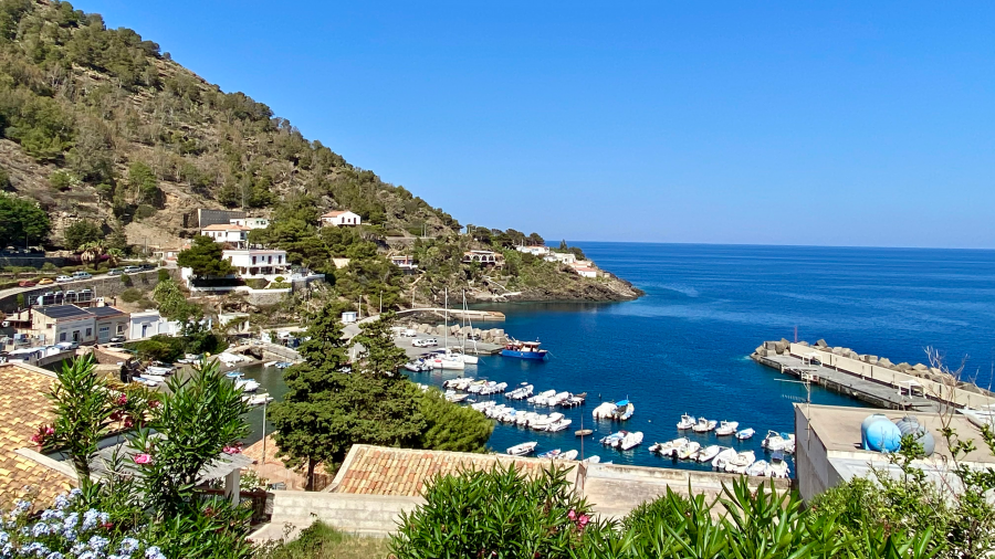 The  marine protected area of ​​Ustica Island