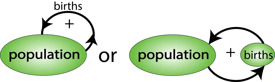 A concept map showing two different ways of how birth rate and population size relate to one another