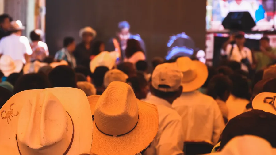 The backs of people who are standing facing a speaker in the background at a meeting