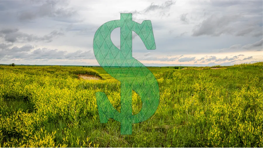 An image of a dollar sign imposed over a photograph of a field indicating the value we place on nature