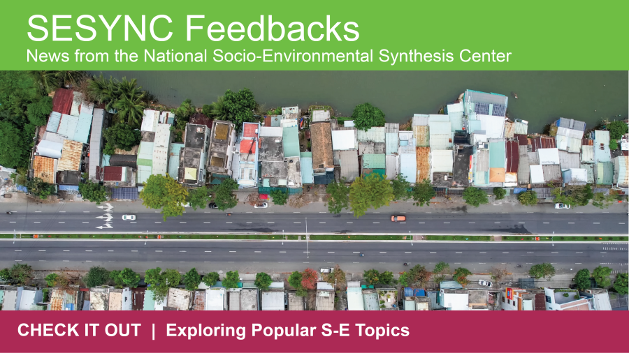 An image showing the top portion of the SESYNC newsletter