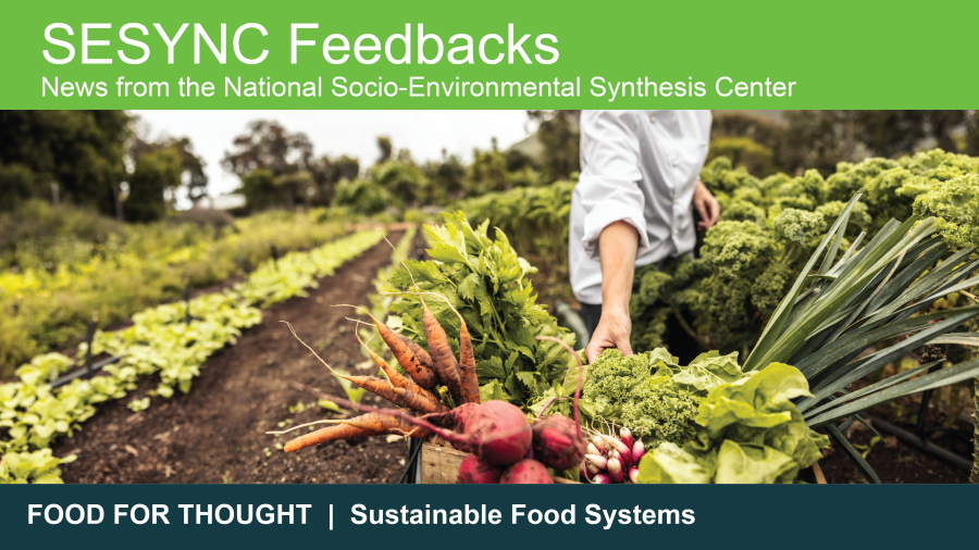 Sustainable Food Systems