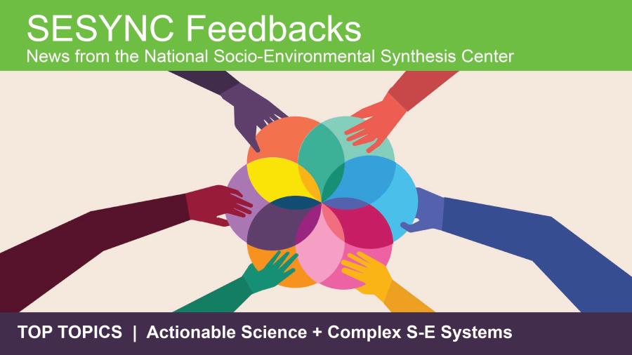 An image showing the top portion of the SESYNC newsletter, with an illustration of hands putting together multi-colored circles to symbolize working together. The header says: Top Topics: Actionable Science and Complex S-E Systems