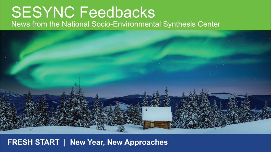 A preview of the SESYNC December 2025 newsletter; the header reads "SESYNC Feedbacks: News from the National Socio-Environmental Synthesis Center". Beneath the text is a photo of a cabin at night in front of a forest, while the Aurora Borealis lights up the sky; at the bottom, a banner reads "FRESH START: New Year, New Approaches"
