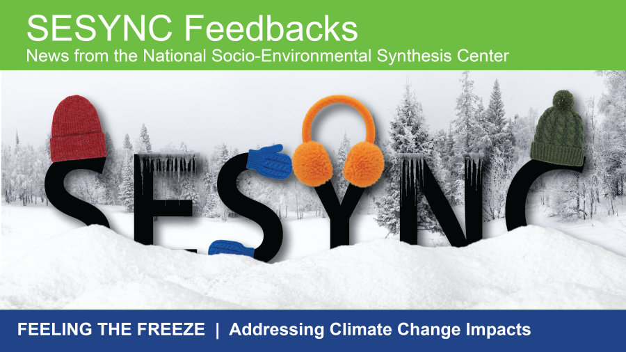 A preview of the January 2026 newsletter with the letters SESYNC on a snowy background and the individuals letters wearing hats and mittens. The bottom text reads: "Feeling the Freeze: Addressing Climate Change Impacts"