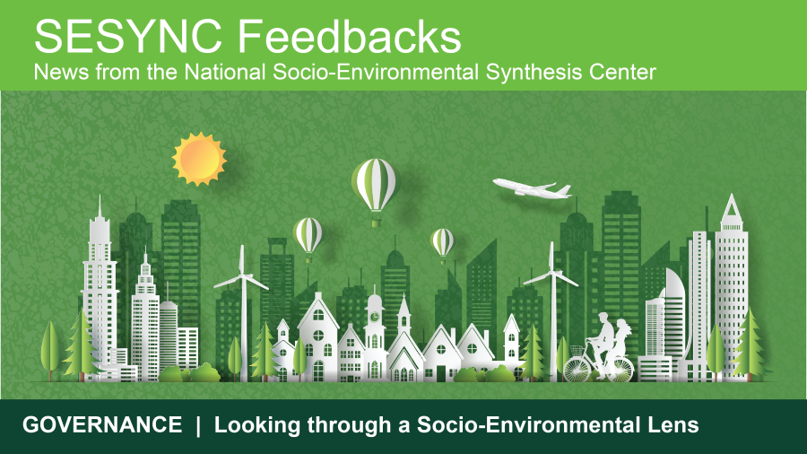 An image showing the top portion of the SESYNC newsletter 