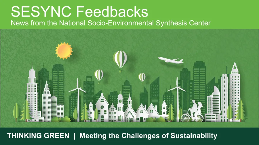 An image showing the top portion of the SESYNC newsletter