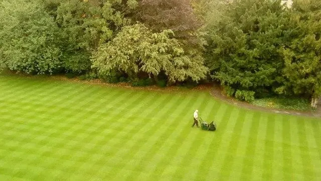 A man mowing the lawn into a striped pattern with trees behind him