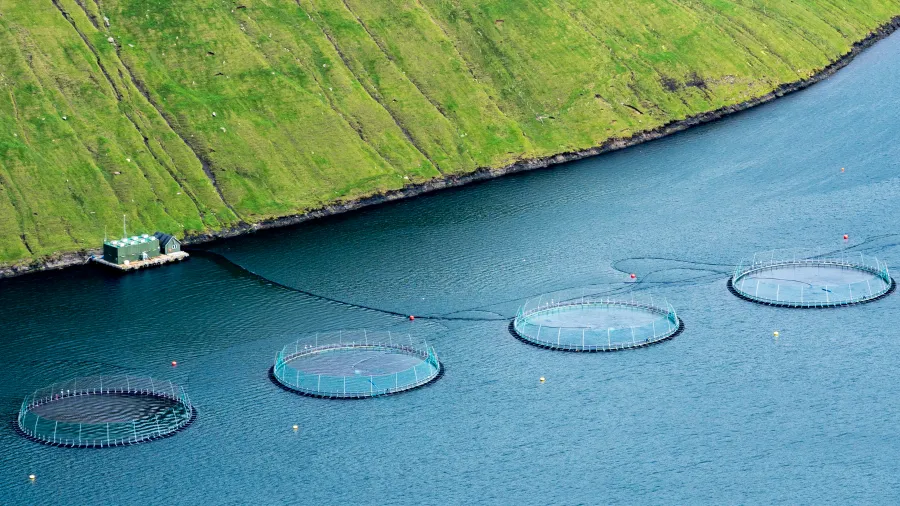 Aquaculture ponds off the coast