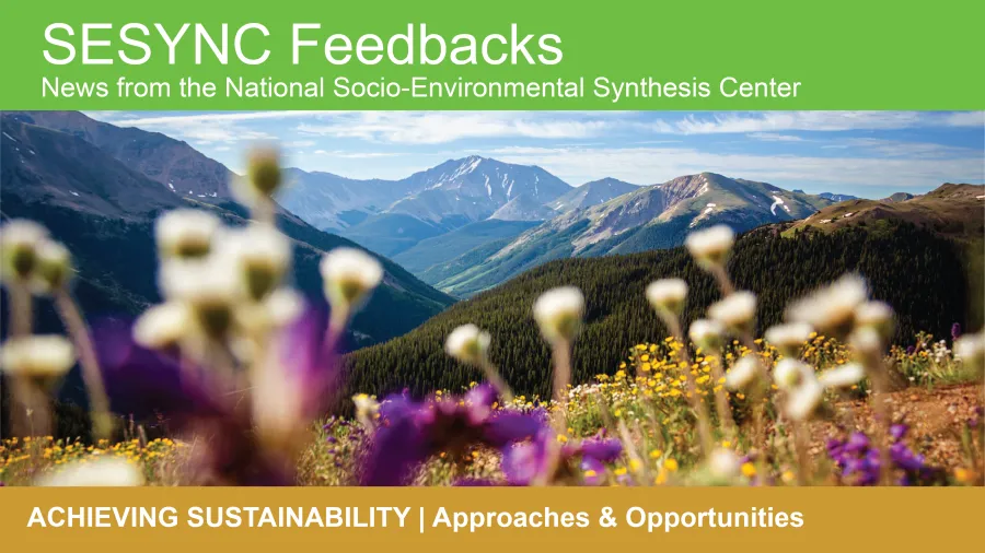 An image showing the top portion of the SESYNC newsletter, with a photograph of a mountain view with wildflowers in the foreground. The header says: Achieving Sustainability: Approaches & Opportunities