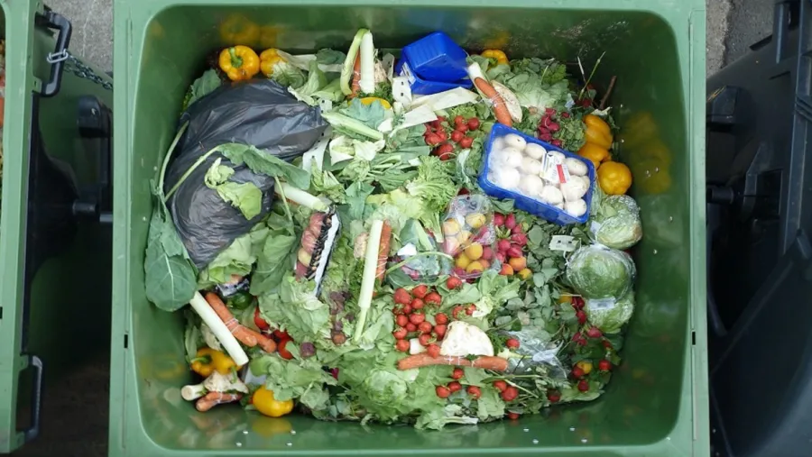 Wasted food in a trash receptacle