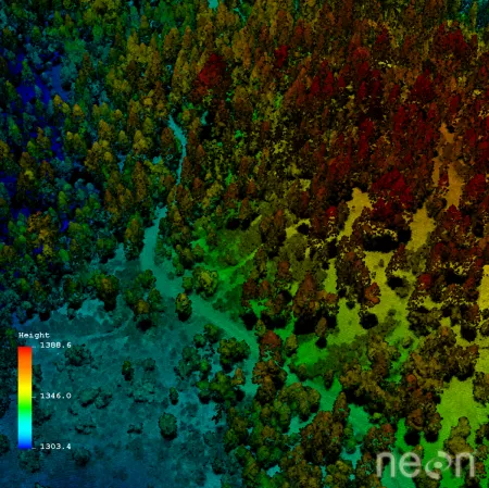 An example of NEON LIDAR imaging, showing an aerial shot of a landscape and trees in different colors
