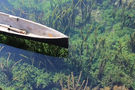 A canoe sitting on top of clear water with seaweed visible below