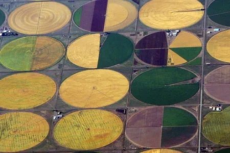 crop circles