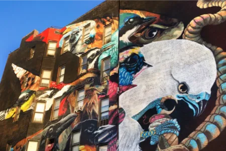A mural of birds painted on the side of a building