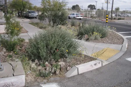 An example of green stormwater infrastructure next to a curb and sidewalk