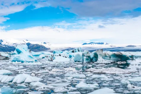 Pieces of ice melting with penguins