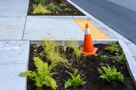 A rain garden with some plants next to a sidewalk with an orange traffic cone