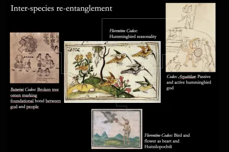 A slide showing interspecies re-entanglement