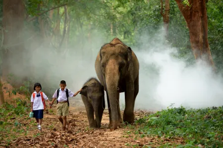 children in school uniforms walking next to an elephant